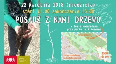 Posadz z nami drzewo zapraszamy Grzegorz Ptaszyński